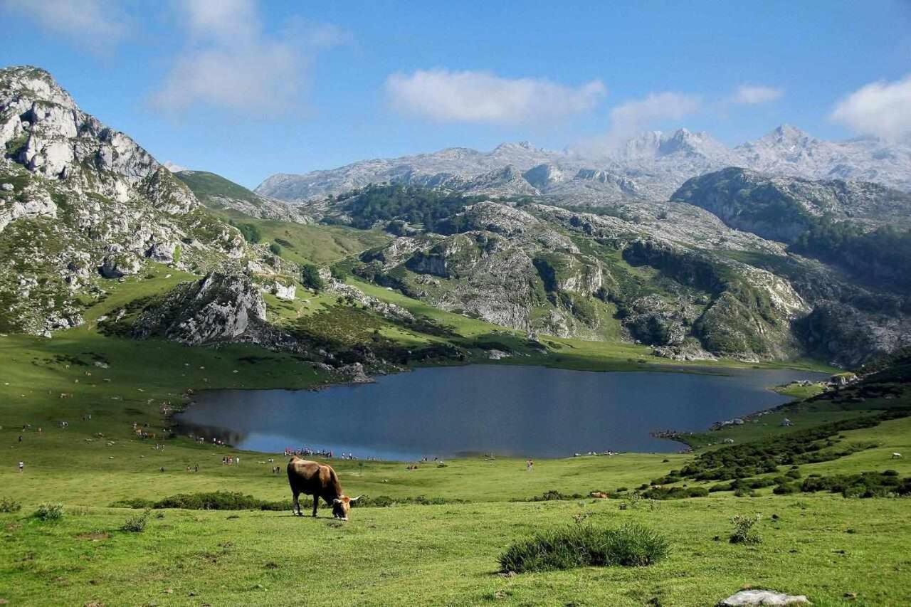 Casa Rural La Carrozal Senda Del Oso Orelleiru Exteriör bild