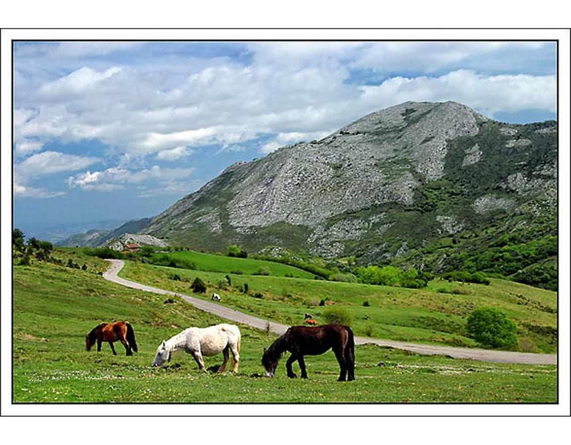 Casa Rural La Carrozal Senda Del Oso Orelleiru Exteriör bild