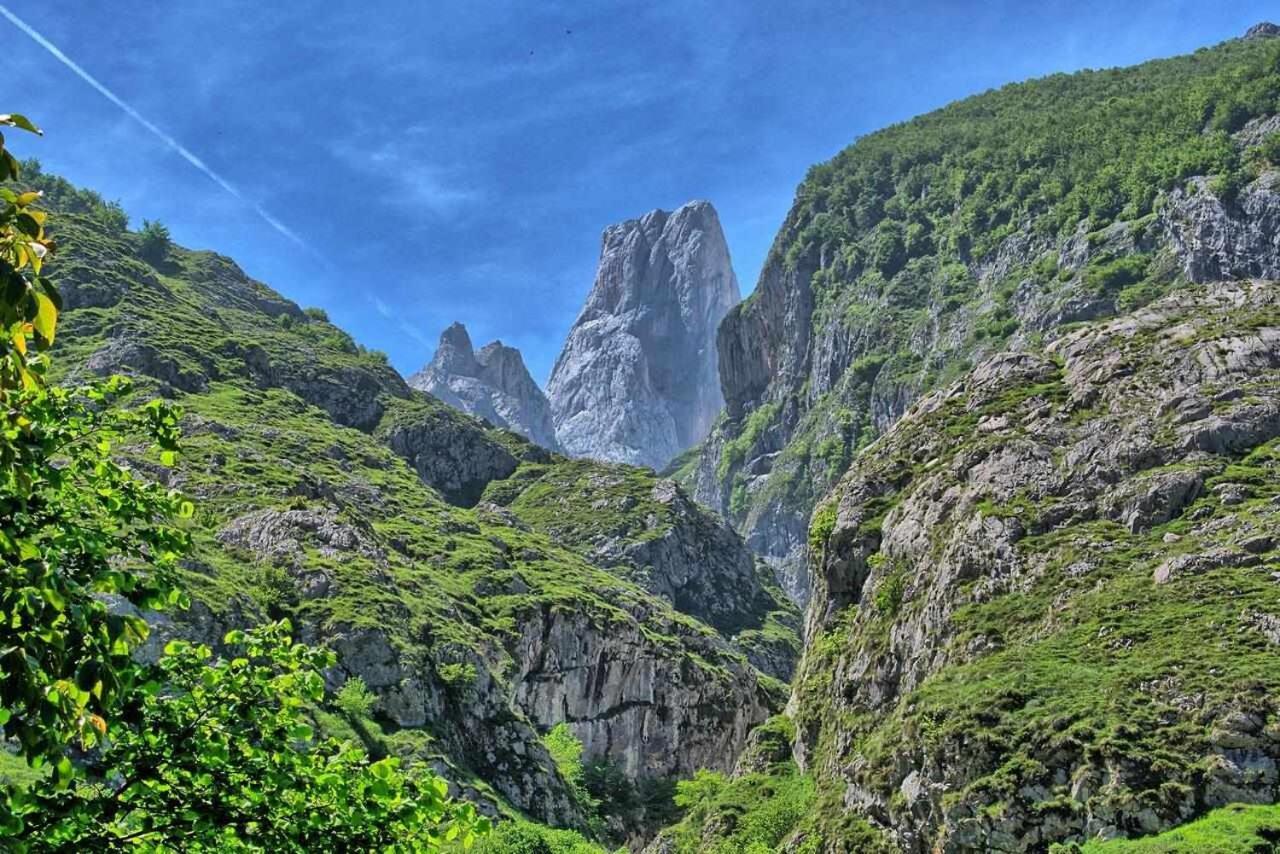 Casa Rural La Carrozal Senda Del Oso Orelleiru Exteriör bild